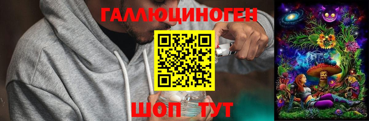 Галлюциногенные грибы прущие грибы  Вход с VPN  дарнет шоп  Карачаевск 